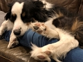 Jess_ZoeyCuddles_2-2021 (2)